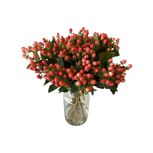 Fresh Pink Hypericum “Sweet Romance” | Fresh Flowers | Length ± 50 centimetre | 25 stems per bunch | Per bunch