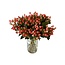 Fresh Pink Hypericum “Sweet Romance” | Fresh Flowers | Length ± 50 centimetre | 25 stems per bunch | Per bunch