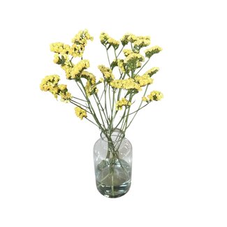 Fresh Intense Yellow Statice Limonium Sinuata | Lengte ± 70 centimetre | Fresh Flowers | 5 stems per bunch | Per bunch