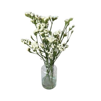 Fresh Natural White Statice Limonium Sinuata | Fresh Flowers | Length ± 70 centimetre | 5 stems per bunch | Per bunch