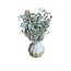 Bouquet Turquoise Dried flowers "Mini" | including vase | Length ± 15 centimetre | Per bouquet
