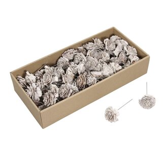 4A Natural White Dried Cedar Rose Stem Pick | Natural Autumn Decoration | Length 10 centimeter | Contents 70 Stem Picks | Per Box