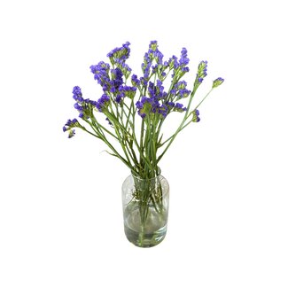 Fresh Dark Blue Statice Limonium Sinuata | Fresh Flowers | Length ± 70 centimetre | 5 stems per bunch | Per bunch