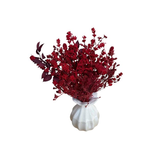 Bouquet Red Dried Flowers "Mini" | including vase | Length ± 15 centimetre | Per bouquet