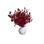 Bouquet Red Dried Flowers "Mini" | including vase | Length ± 15 centimetre | Per bouquet