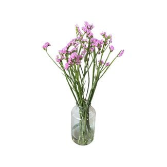 Fresh Pink Statice Limonium Sinuata | Length ± 70 centimetre | Fresh Flowers | 5 stems per bunch | Per bunch