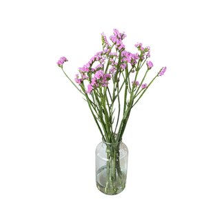 Verse Statice Limonium Sinuata | Kleur: Roze | Lengte ± 70 centimeter | Verse Bloemen | 5 stelen per bos | Per bos