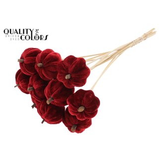 QC Velvet Pumpkin Ø6cm on stem Red