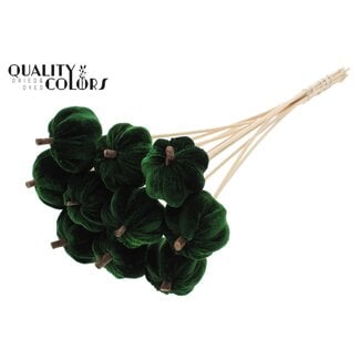 QC Velvet Pumpkin Ø6cm on stem Green