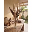Bouquet Dried flowers “Sophie” | Length ± 90 centimetre | With Eucalyptus and natural dried flowers | Per bouquet