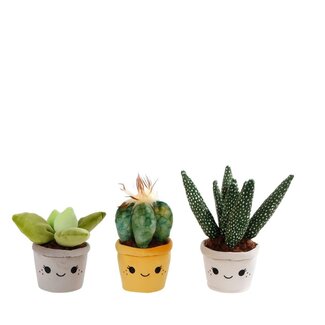4A Plush Plant in Pot | Colour: Mixed Colours | Height 19-27 centimetre | Per 6 plants
