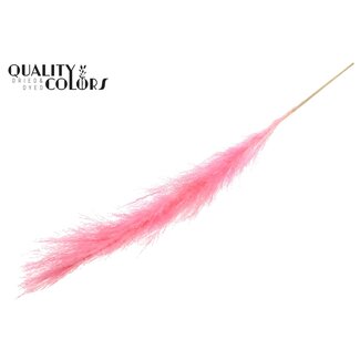 QC Bleached Dried Pampas Plumes | Colour: Pink | Length ± 140 centimetre | Per plume