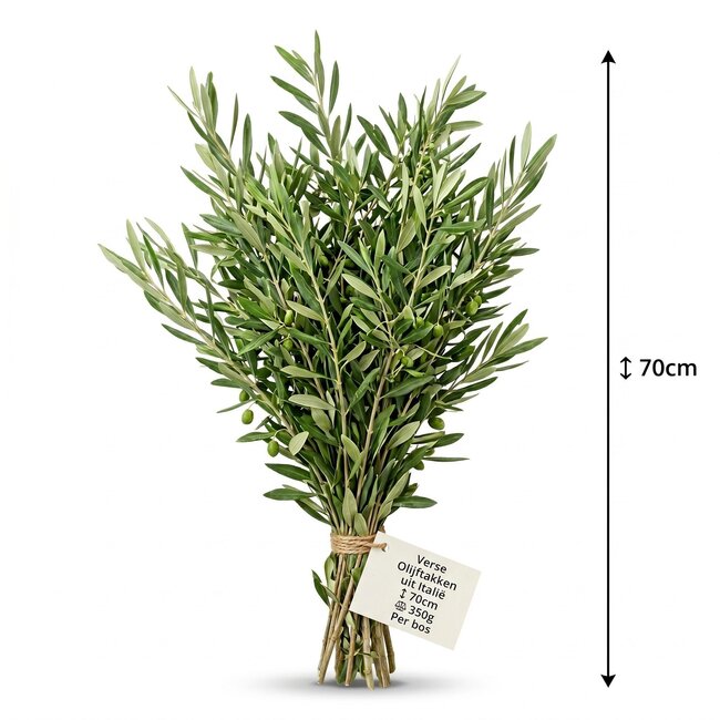 Fresh olive branches from Italy | Colour: Natural Green | Fresh flowers | Length ± 70 centimetre | Weight ± 350 gram | Per bunch