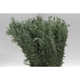 Freshy Lavandel Dentata 200gr (p. bos)