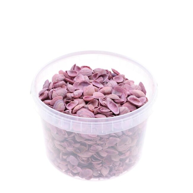 North Sea shells in reusable bucket | Colour: Pink | Bucket capacity 3 litre | Per bucket
