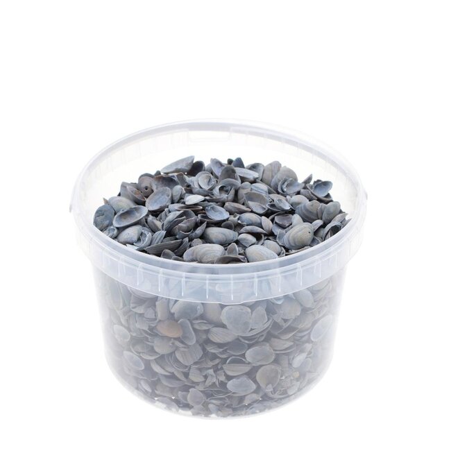 North Sea Shells in reusable bucket | Colour: Light blue | Bucket contents 3 liter | Per bucket