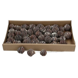 4A Platyspermum Pinecone picks | Colour: Brown Grey | Per 40 pinecones