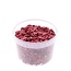North Sea shells in reusable bucket | Colour: Red | Bucket capacity 3 litre | Per bucket