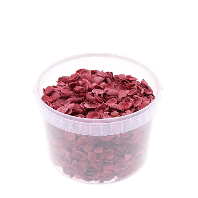 North Sea shells in reusable bucket | Colour: Red | Bucket capacity 3 litre | Per bucket