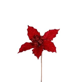 4A Christmas star Poinsettia pick | Colour: Red | Christmas Decoration | Diameter 10 centimetre | Per 12 picks