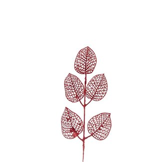 4A Skeletblad Takken | Kleur: Rood | Kerst Decoratie | Lengte 31 centimeter | Per 8 takken