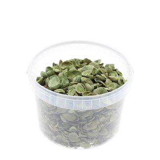 4A North Sea shells in reusable little bucket | Colour: Light green | Bucket contents 3 liter | Per bucket