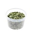 North Sea Shells in reusable bucket | Colour: Light green | Bucket contents 3 liter | Per bucket