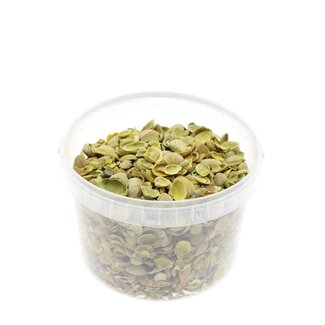 4A North Sea Shells in reusable bucket | Colour: Yellow | Bucket content 3 liter | Per bucket