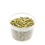 North Sea Shells in reusable bucket | Colour: Yellow | Bucket content 3 liter | Per bucket