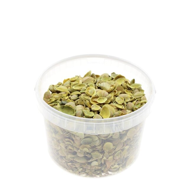 North Sea Shells in reusable bucket | Colour: Yellow | Bucket content 3 liter | Per bucket