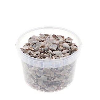 4A North Sea Shells in reusable bucket | Colour: Light brown | Bucket content 3 litre | Per bucket