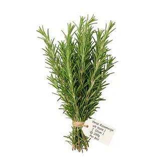Freshy Fresh Rosemary from Italy | Colour: Natural Green | Fresh Flowers | Length ± 50 centimeter | Weight ± 200 gram | Per bunch