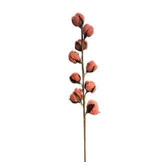 Arti Flora Artificial cotton branch with cotton bolls | Colour: Salmon pink | Length ± 60 centimeter | 9 bolls per stem | Per stem