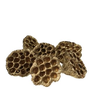 4A Lotus Peulen met Glitter | Kleur: Goud | Kerst Decoratie | Diameter 8 - 10 centimeter | Per 6 peulen