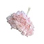 Preserved Hydrangea | Colour: Light pink | Hydrangea Dried Flowers | Length ± 70 centimetre | Per stem