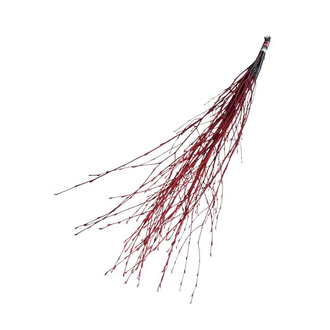 Dried Birch Branches | Colour: Red | Length ± 60 centimetre | Per 20 branches