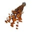 Getrocknete Lona | Farbe: Orange | Lonas Annua Trockenblumen | Länge ± 55 centimeter | Gewicht 100 gram | Pro Bund