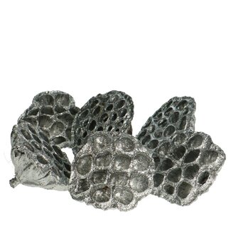 4A Lotus Peulen met Glitter | Kleur: Zilver | Kerst Decoratie | Diameter 8 - 10 centimeter | Per 6 peulen