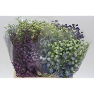 Freshy Delphinium El Gemengd