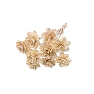 Dutch Dried Rose Wood | White | 50 cm | Per 10 stems