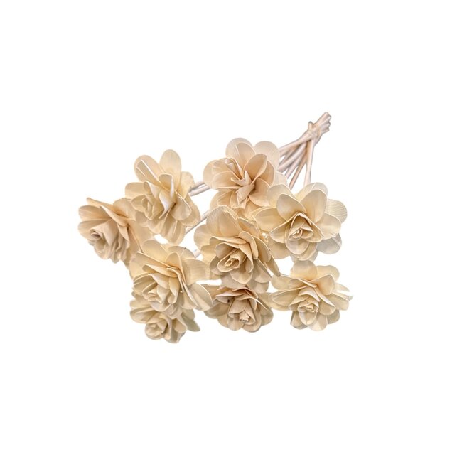 Rose Wood | White | 50 cm | Per 10 stems