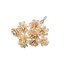 Rose Wood | White | 50 cm | Per 10 stems