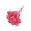 Shola Beauty Rose | Pink Dark | 55 cm | Per 10 stems