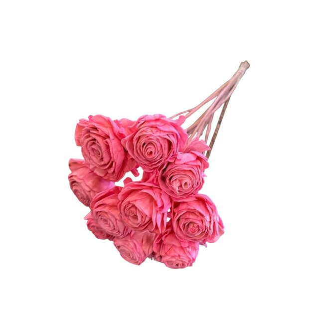 Shola Beauty Rose | Pink Dark | 55 cm | Per 10 stems
