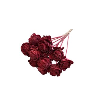 Dutch Dried Shola Beauty Rose | Bordeaux | 55 cm | Per 10 stems