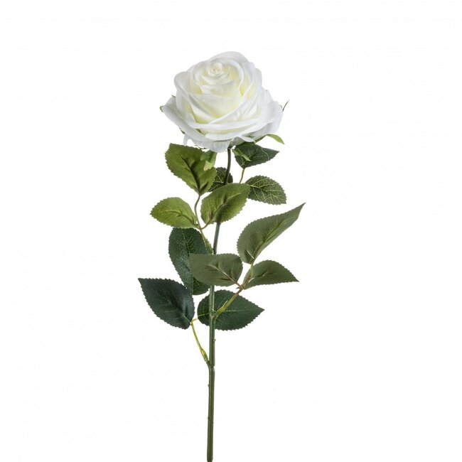Roos Kunstbloem | Kleur: Naturel Wit | Rozen kunstbloemen | Lengte ± 65 centimeter | Per 12 kunstrozen