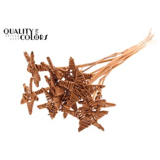 QC Rotan Lata Ster Bijsteker | Kleur: Terracotta | Lata Star Platte Bijsteker | Lengte ± 50 centimeter | Per 10 bijstekers