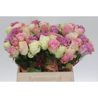 Freshy Rosa Pastel Gemengd in Bos