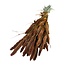 Gedroogde Setaria | Kleur: Oranje Bruin | Setarea Droogbloemen | Lengte ± 70 centimeter | Gewicht 150 gram | Per bos