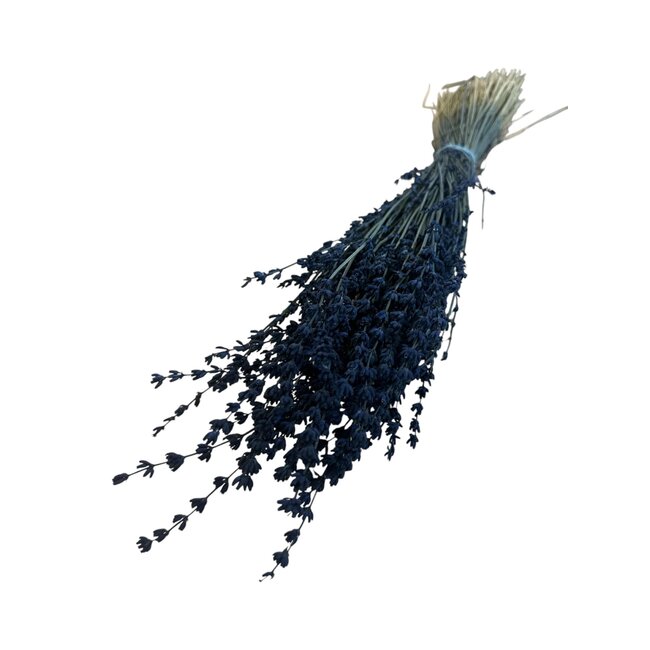 Gedroogde Lavendel | Kleur: Donkerblauw | Lavendel Droogbloemen | Lengte ± 50 centimeter | Gewicht 100 gram | Per bos